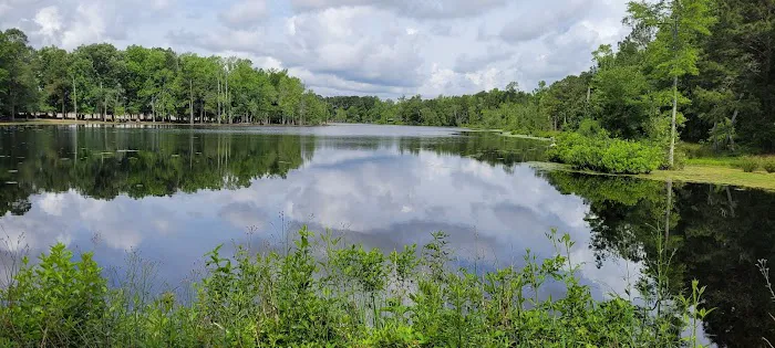 Penderlea Lake Campground Picture 3
