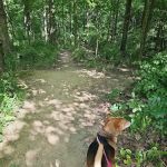 Quakertown Campground