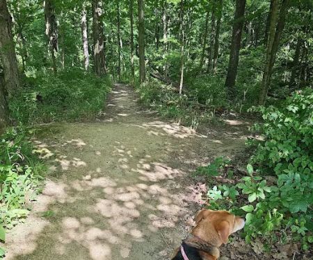 Quakertown Campground