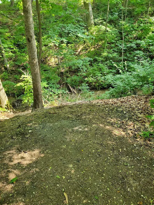 Whitewater Memorial State Park Campground Picture 4