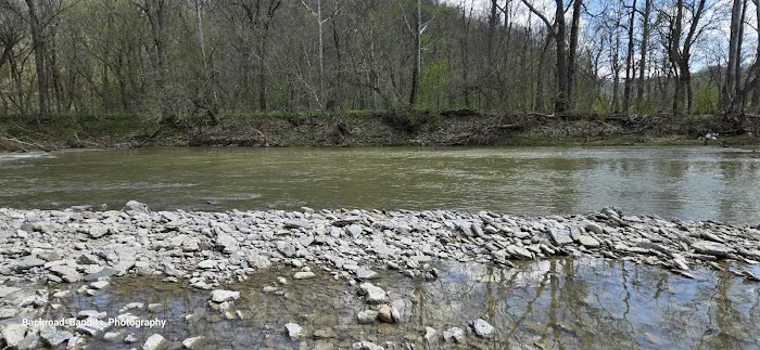 Callis Grove Campground Picture 1
