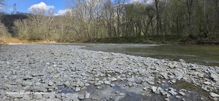 Callis Grove Campground Picture 3
