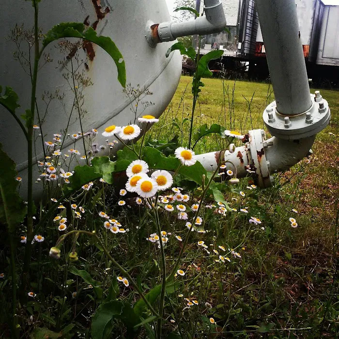 South Gate Mobile Home Park Picture 5