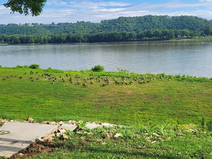 Riverview Campground Picture 6