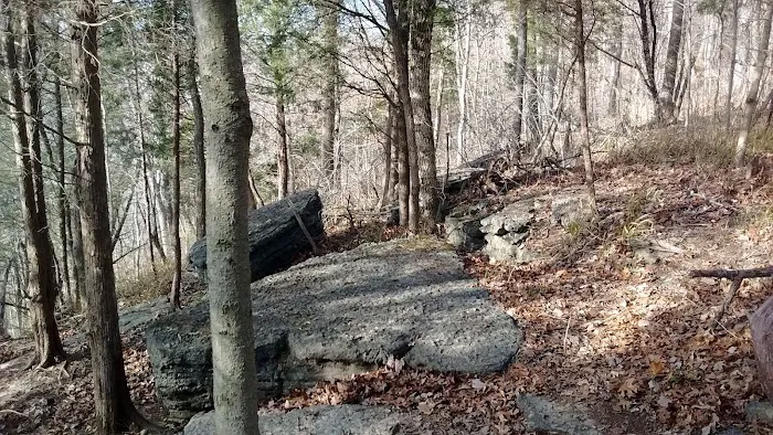 Coopers Creek Campground Picture 9