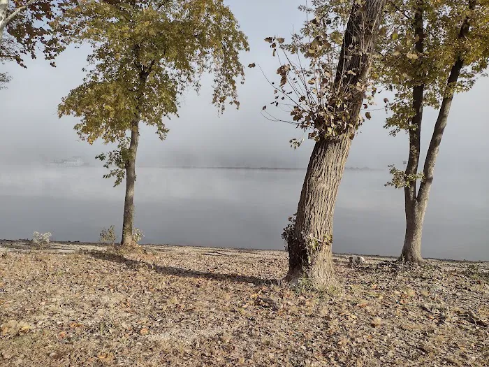 Coopers Creek Campground Picture 1
