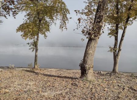 Coopers Creek Campground