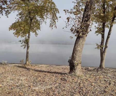 Coopers Creek Campground