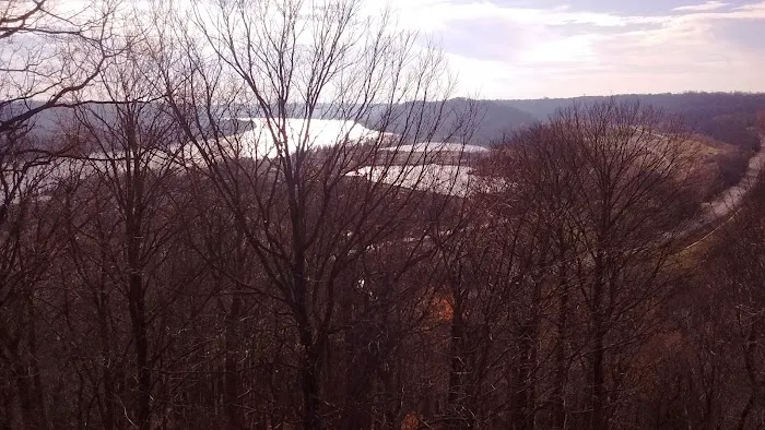 Coopers Creek Campground Picture 7