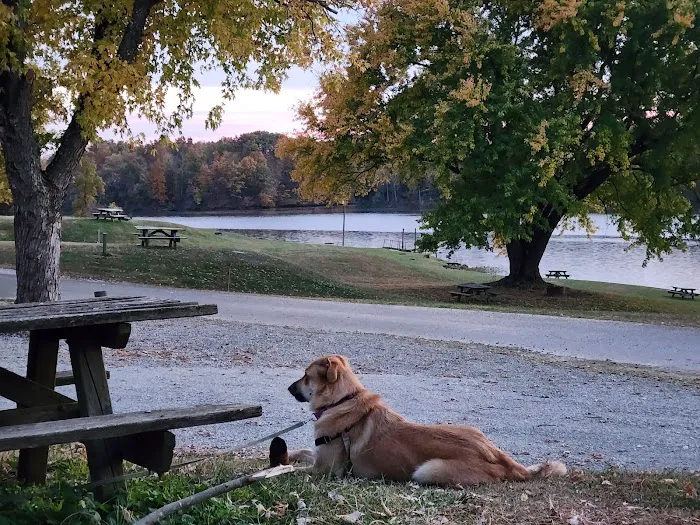 Lake Jericho Recreational Area Picture 4