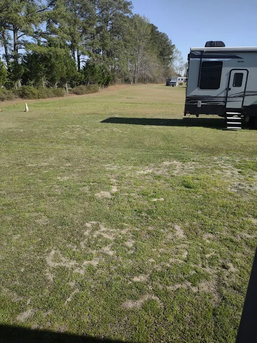 Pierce RV Park Picture 3