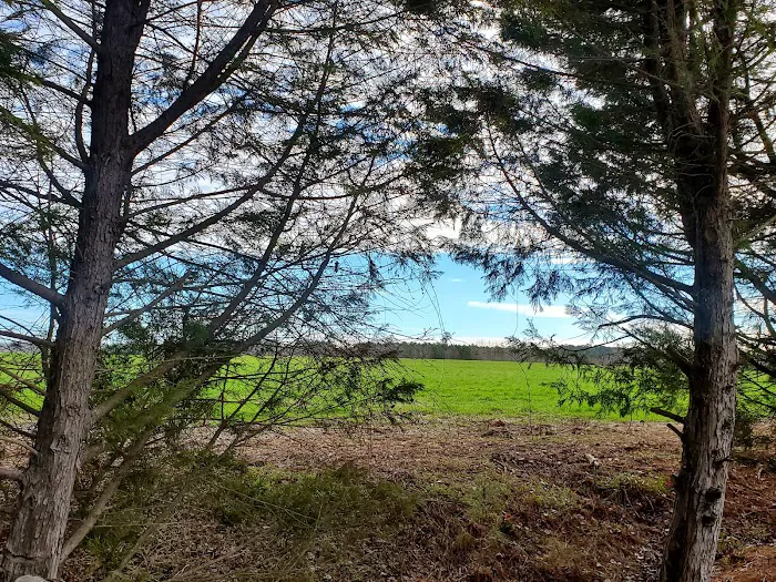 Pierce RV Park Picture 9