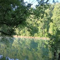 Camp On the Kentucky ico