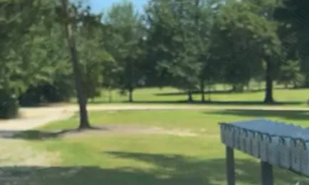 Lockwood RV Park and Cabins Picture 2