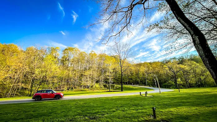 Cummins Ferry RV Park, Campground Picture 2