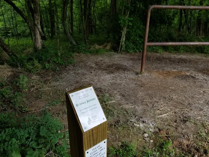Primitive Camping Area Picture 8