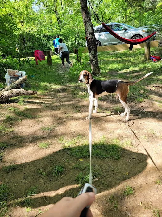 Primitive Camping Area Picture 10