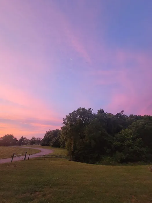 Taylorsville Lake Campground Picture 5
