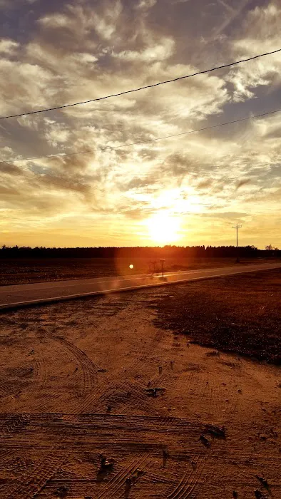 Shellbluff RV Park Picture 9