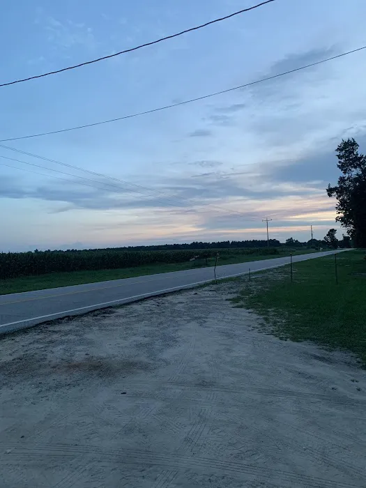 Shellbluff RV Park Picture 2