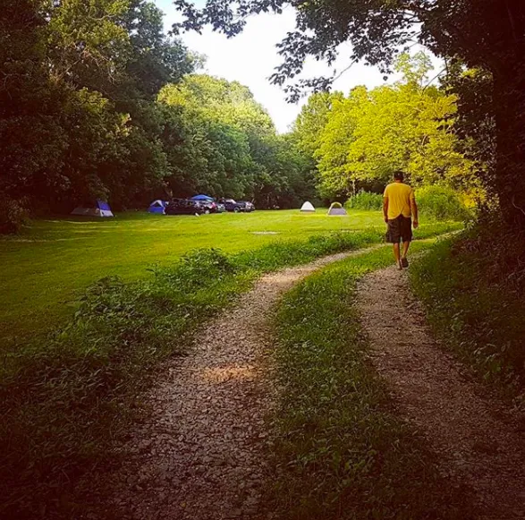 Little Wing Hollow Picture 9