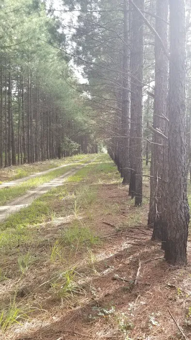 Hawkins RV Park Picture 1