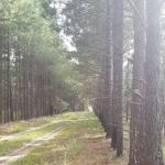 Hawkins RV Park