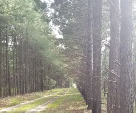 Hawkins RV Park