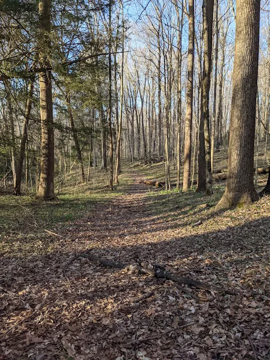 Deer Creek Campground Picture 5