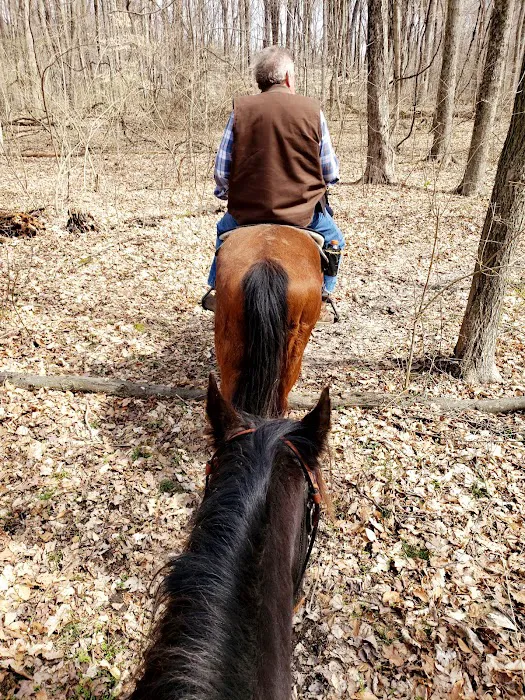 Hueston Woods State Park Horse Camp Picture 8