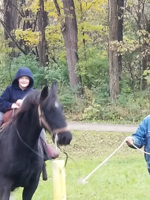 Hueston Woods State Park Horse Camp Picture 2