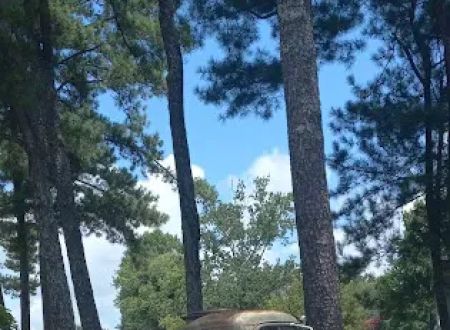 Green Acres Mobile Home Park