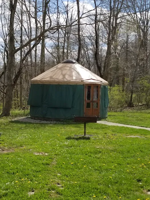 Hueston Woods State Park Campground Picture 10