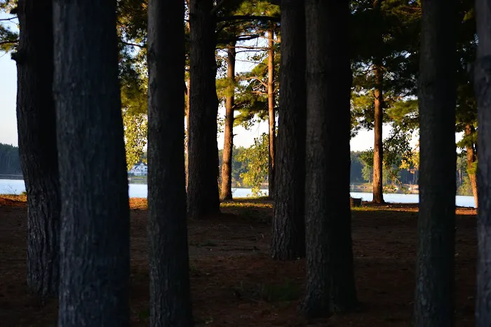 Wolverine Campground Picture 4