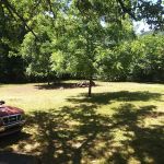 Mimosa Trailer Park