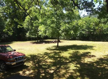 Mimosa Trailer Park