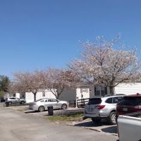 Tall Pines Estates Community ico