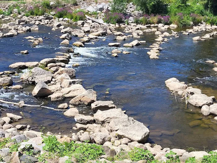 Chesaning Showboat Camping Picture 6