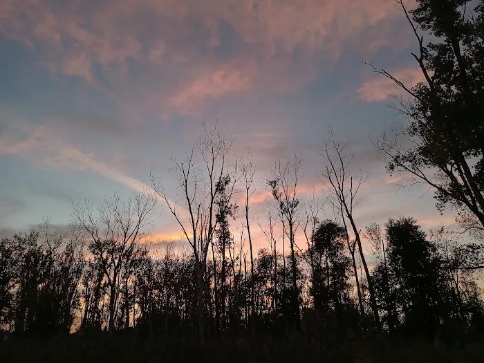 Lake St Clair Metropark campgrounds Picture 5