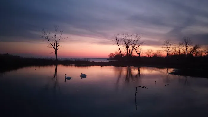 Lake St Clair Metropark campgrounds Picture 1