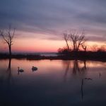 Lake St Clair Metropark campgrounds