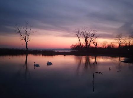 Lake St Clair Metropark campgrounds