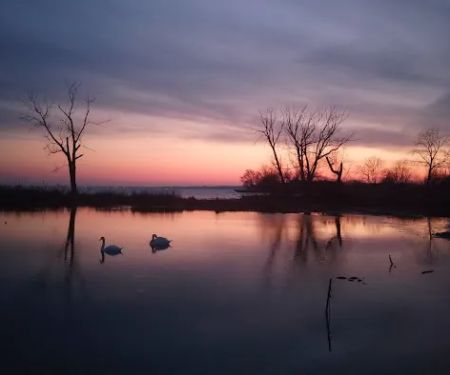 Lake St Clair Metropark campgrounds