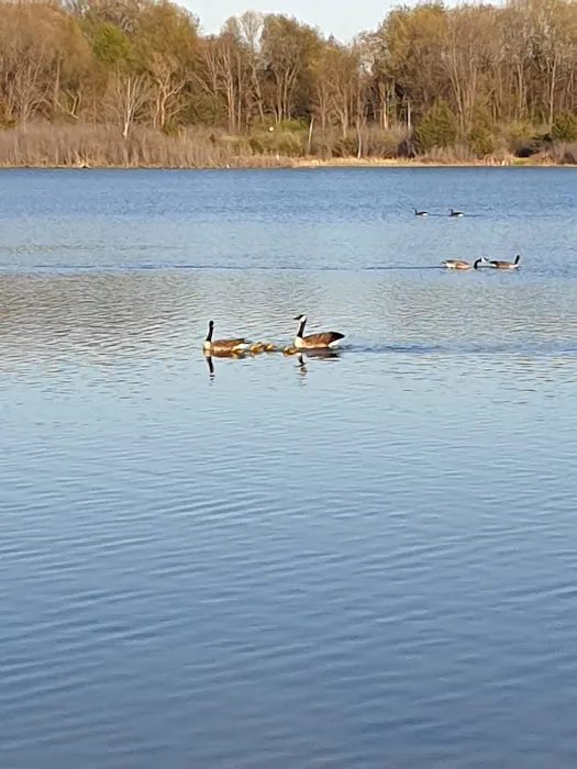 Cade Lake County Park & Campground Picture 3