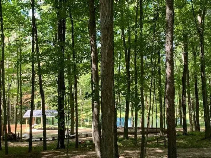Hamilton Campground Picture 4