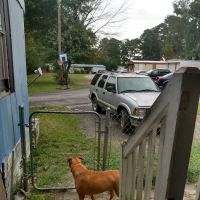 Forest Valley Mobile Home Park ico