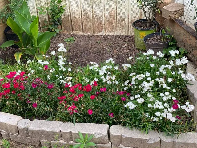 El Bosque Mobile Home Community Picture 10