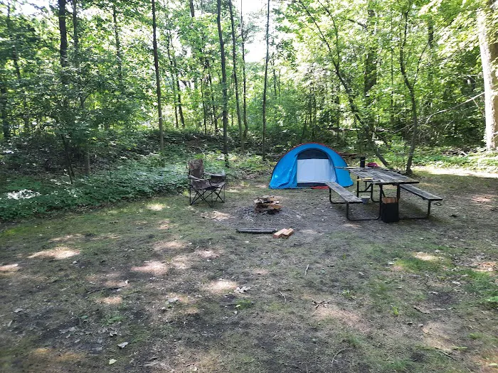Cottonwood Campground Picture 7