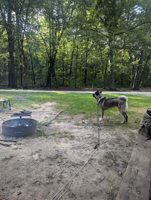 Chain O’ Lakes Campground Picture 7