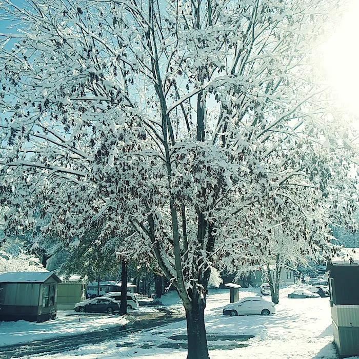 Trailwood Mobile Home Park Picture 5